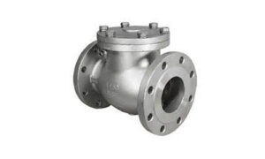 check valves indess